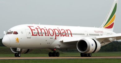 Ethiopian Airlines remains Africa's largest carrier as the continent's aviation market expands, according to new data from OAG.